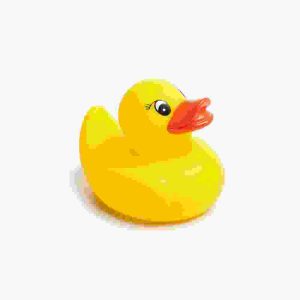 Water Duck